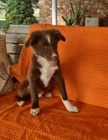 processed/5bb48409-e7db-4f6c-b9e9-bd3988ea71f1/listing/92981a9a-3671-484f-9721-3a9e5c16ae20/f1b92b40-a448-4a81-8e8f-645321b812a6