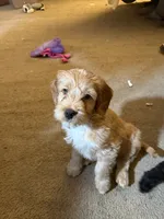 processed/5bb78e5e-b2e7-4f74-88d8-e12b73a798a6/listing/939624db-2e64-4b26-9566-cff335f98453/1d5475d2-ff34-4963-a98d-92db77cd5f22