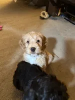 processed/5bb78e5e-b2e7-4f74-88d8-e12b73a798a6/listing/939624db-2e64-4b26-9566-cff335f98453/20046a60-1e3a-4d6f-8a35-63156e0d8f5c