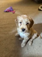 processed/5bb78e5e-b2e7-4f74-88d8-e12b73a798a6/listing/939624db-2e64-4b26-9566-cff335f98453/3b01b589-f799-436c-a16e-57e8e8bb933a