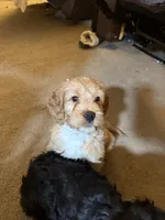 processed/5bb78e5e-b2e7-4f74-88d8-e12b73a798a6/listing/939624db-2e64-4b26-9566-cff335f98453/8881dcb2-f346-41cf-b3b4-7a583a9d3310