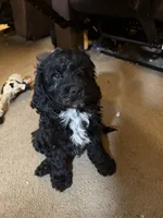 processed/5bb78e5e-b2e7-4f74-88d8-e12b73a798a6/listing/e869b155-ce0e-48f3-9f8c-15d492385940/1df79707-e33f-4f22-80e8-acc12f128194