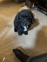 processed/5bb78e5e-b2e7-4f74-88d8-e12b73a798a6/listing/e869b155-ce0e-48f3-9f8c-15d492385940/2ed94e01-dd18-4413-b462-ce6861e64fb1