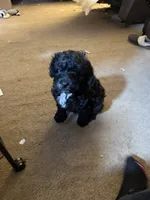 processed/5bb78e5e-b2e7-4f74-88d8-e12b73a798a6/listing/e869b155-ce0e-48f3-9f8c-15d492385940/2fe3d3f7-702b-4c23-a18a-c4786f2aa913