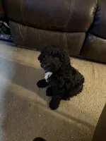 processed/5bb78e5e-b2e7-4f74-88d8-e12b73a798a6/listing/e869b155-ce0e-48f3-9f8c-15d492385940/3140a37d-37d9-4b25-920c-6c3bdaa585ba