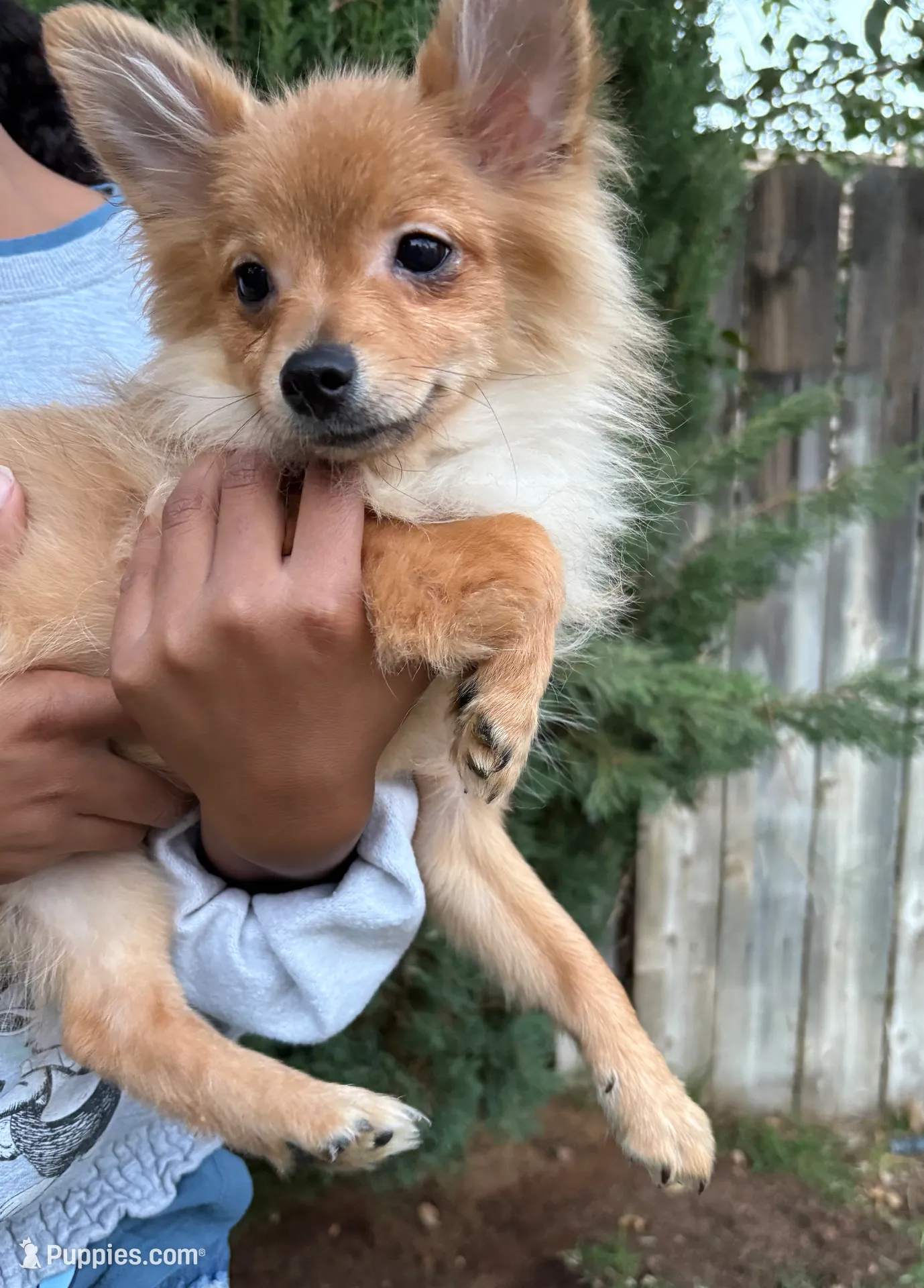 processed/5bbc518a-de66-424b-a2da-ae0c6a9a6675/listing/1f842d24-fb0c-4585-a2ed-2ad769ff452c/23bf4a39-74a8-4fb7-b2c3-e32ba3a0bb32