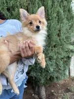 processed/5bbc518a-de66-424b-a2da-ae0c6a9a6675/listing/1f842d24-fb0c-4585-a2ed-2ad769ff452c/d7f99316-ee5e-4f58-8a6f-1eda3c45dee4