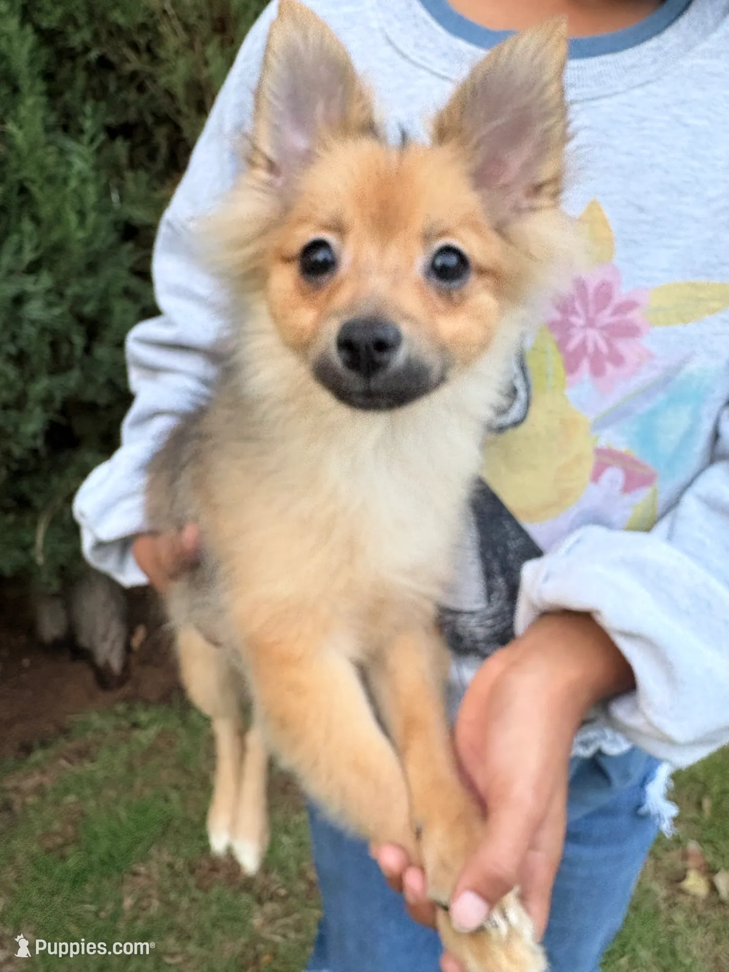 processed/5bbc518a-de66-424b-a2da-ae0c6a9a6675/listing/ed0c0fe2-b59a-4bd6-bfe3-398a879d6e76/45b3f495-2ab9-4af3-b8b2-21e56e7b5ca1