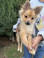 processed/5bbc518a-de66-424b-a2da-ae0c6a9a6675/listing/ed0c0fe2-b59a-4bd6-bfe3-398a879d6e76/a1311690-cd45-4d2d-ad9a-00a20a613c3e