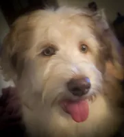 processed/5bc162d9-b683-4344-8b2b-571fb2e72c78/listing/5e647f4e-3219-481f-9d0e-540705c09db7/5dc34b38-4fd9-4463-9d34-9677f495eb3c