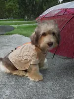 processed/5bc162d9-b683-4344-8b2b-571fb2e72c78/listing/5e647f4e-3219-481f-9d0e-540705c09db7/89b24a1d-6454-46a0-a966-16f2146f8b01