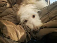 processed/5bc162d9-b683-4344-8b2b-571fb2e72c78/listing/5e647f4e-3219-481f-9d0e-540705c09db7/957fba09-949e-426d-b365-2036858fb8c8