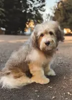 processed/5bc162d9-b683-4344-8b2b-571fb2e72c78/listing/5e647f4e-3219-481f-9d0e-540705c09db7/96d237e8-d292-4179-b329-dcc54664d04e