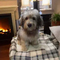 processed/5bc162d9-b683-4344-8b2b-571fb2e72c78/listing/5e647f4e-3219-481f-9d0e-540705c09db7/9cfd546e-46a9-4ea3-8ef8-60a02e6eeee5