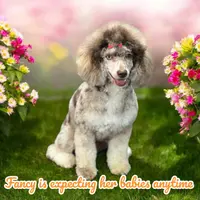 processed/5bc162d9-b683-4344-8b2b-571fb2e72c78/listing/5e647f4e-3219-481f-9d0e-540705c09db7/fb71428e-cebd-4c17-9b4a-fbb717635e02