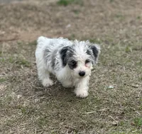 processed/5bde99ce-125a-46a4-af12-88a7bca8b9a8/listing/2667b6ae-a4ee-4d0b-aeb5-c6b2c199b4bc/6f917de2-4b14-4495-99ee-b3a9edd67a59