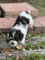 processed/5bde99ce-125a-46a4-af12-88a7bca8b9a8/listing/6bda6400-4818-4256-81d3-4be6f2775c1e/72f14fd2-6e64-4144-88ab-80857ea2f460