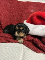 processed/5bf0aaff-5590-49e4-9d4e-f23cee9788ec/listing/f5b05140-44c1-4655-8bbb-4395e7ba7704/20f14a3f-08e5-4415-9f11-28a5acb4ef80