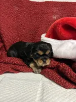 processed/5bf0aaff-5590-49e4-9d4e-f23cee9788ec/listing/f5b05140-44c1-4655-8bbb-4395e7ba7704/4ab8d6d9-306d-432e-b866-55496c66909c