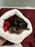 processed/5bf0aaff-5590-49e4-9d4e-f23cee9788ec/listing/f5b05140-44c1-4655-8bbb-4395e7ba7704/cf98e3e2-0074-47f9-b8df-58f4de90e7b7