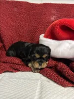 processed/5bf0aaff-5590-49e4-9d4e-f23cee9788ec/listing/f5b05140-44c1-4655-8bbb-4395e7ba7704/eb58fb3e-93fb-4783-aa3f-b2ea56962d6a