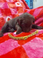 processed/5bf2ae3f-9ac0-4954-8f3d-67f5ed8b732a/listing/16b0c61c-10c9-4734-85f9-063fdd1817d5/09db4d71-171a-407d-82f7-5e25639bfa45