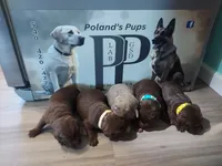 processed/5bf2ae3f-9ac0-4954-8f3d-67f5ed8b732a/listing/16b0c61c-10c9-4734-85f9-063fdd1817d5/32867fd5-e3f8-4582-aa8d-63d980156595