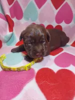 processed/5bf2ae3f-9ac0-4954-8f3d-67f5ed8b732a/listing/16b0c61c-10c9-4734-85f9-063fdd1817d5/9925eaab-2b60-4ead-ae31-4f5877cedb0e