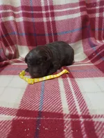 processed/5bf2ae3f-9ac0-4954-8f3d-67f5ed8b732a/listing/16b0c61c-10c9-4734-85f9-063fdd1817d5/a0dd49dd-1cbc-41ee-a0ac-845f069518dc