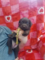 processed/5bf2ae3f-9ac0-4954-8f3d-67f5ed8b732a/listing/16b0c61c-10c9-4734-85f9-063fdd1817d5/c16784d2-4e46-4de9-a677-18a3e433bf0d