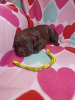 processed/5bf2ae3f-9ac0-4954-8f3d-67f5ed8b732a/listing/16b0c61c-10c9-4734-85f9-063fdd1817d5/c234d5a1-91f1-498b-b072-01ad232080c7