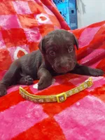 processed/5bf2ae3f-9ac0-4954-8f3d-67f5ed8b732a/listing/16b0c61c-10c9-4734-85f9-063fdd1817d5/c4df8b69-a612-4dfe-b892-43881997a3e2