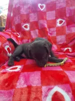 processed/5bf2ae3f-9ac0-4954-8f3d-67f5ed8b732a/listing/16b0c61c-10c9-4734-85f9-063fdd1817d5/f4cdba07-e946-4e20-9093-943200c2af7a