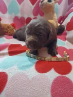 processed/5bf2ae3f-9ac0-4954-8f3d-67f5ed8b732a/listing/f0dff3f6-e0fe-4bef-97c7-7185d2917edf/062ad26b-5e7d-459e-86ab-2ef275821310