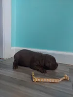 processed/5bf2ae3f-9ac0-4954-8f3d-67f5ed8b732a/listing/f0dff3f6-e0fe-4bef-97c7-7185d2917edf/11297ddb-817d-45b1-9fce-571e30b64d5c