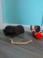 processed/5bf2ae3f-9ac0-4954-8f3d-67f5ed8b732a/listing/f0dff3f6-e0fe-4bef-97c7-7185d2917edf/894601b4-7c30-4860-ba04-73dcecb56ddb