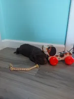 processed/5bf2ae3f-9ac0-4954-8f3d-67f5ed8b732a/listing/f0dff3f6-e0fe-4bef-97c7-7185d2917edf/de2723db-891b-4ff3-baac-410e7c6c30da