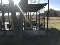 processed/5bf2d955-0cc8-4132-9ee0-9ddc820a251f/facility/37692a3b-4491-445f-b5dd-931848617c6f