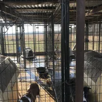 processed/5bf2d955-0cc8-4132-9ee0-9ddc820a251f/facility/79c635f9-67cf-4500-878b-fdd65ec3bfd8