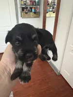 processed/5bf8694a-28c0-43c8-b2c8-54b68a4bc5b8/listing/db8184e5-9ecf-4f88-af76-00b1307069ea/2b5a51f2-a29e-4b8f-b847-a0b32d68c289