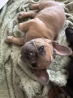 processed/5c08f20a-e37c-4613-ac6d-4536caa2aa61/listing/ab9ebc6a-2f11-4389-93b7-c3f900c75198/87c5e36f-8452-4d14-9648-0673ae7c6b78