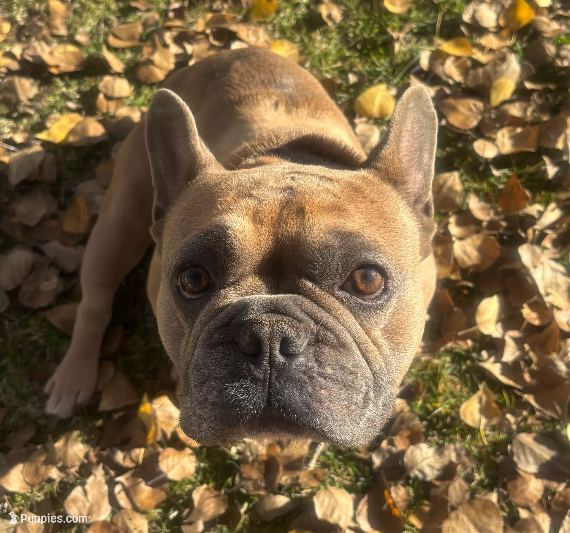 processed/5c08f20a-e37c-4613-ac6d-4536caa2aa61/listing/ab9ebc6a-2f11-4389-93b7-c3f900c75198/8e5e0b59-2c34-47e3-b9f3-316b68a3113f