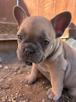 processed/5c08f20a-e37c-4613-ac6d-4536caa2aa61/listing/ab9ebc6a-2f11-4389-93b7-c3f900c75198/d6f9787b-d572-4ef1-b17a-2c2a60d58f6f