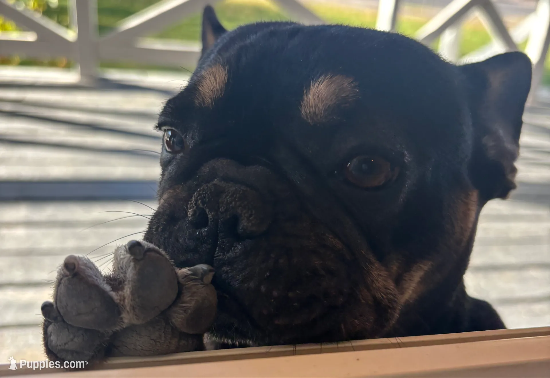 processed/5c08f20a-e37c-4613-ac6d-4536caa2aa61/listing/ab9ebc6a-2f11-4389-93b7-c3f900c75198/f84a15d9-b74f-46e9-8c3c-7f7e9105ee3f