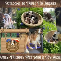 processed/5c0a60d1-2f59-4e7b-9318-65265e569bce/facility/8379ae50-5a77-4675-a437-8e0d41f831c5