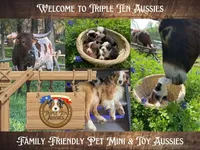 processed/5c0a60d1-2f59-4e7b-9318-65265e569bce/facility/8379ae50-5a77-4675-a437-8e0d41f831c5