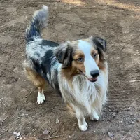 processed/5c0a60d1-2f59-4e7b-9318-65265e569bce/facility/face8414-e2d9-4f66-aa0f-7849cd015f0d