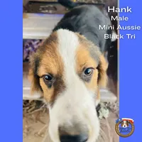 processed/5c0a60d1-2f59-4e7b-9318-65265e569bce/listing/cf867af4-208f-4a98-bc00-46104064cfe6/550c4f5b-06f6-434a-9974-7e584a5a69ea