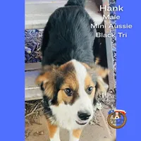 processed/5c0a60d1-2f59-4e7b-9318-65265e569bce/listing/cf867af4-208f-4a98-bc00-46104064cfe6/d9d9617f-622e-413c-93eb-43d05acb8e70