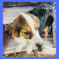 processed/5c0a60d1-2f59-4e7b-9318-65265e569bce/listing/cf867af4-208f-4a98-bc00-46104064cfe6/f95e49a6-3767-4ee9-84e7-031ef9ed3334